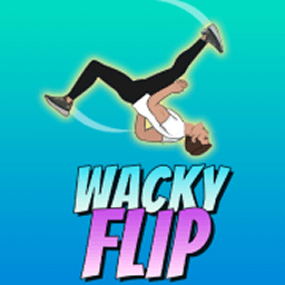 Casual Game - Wacky Flip