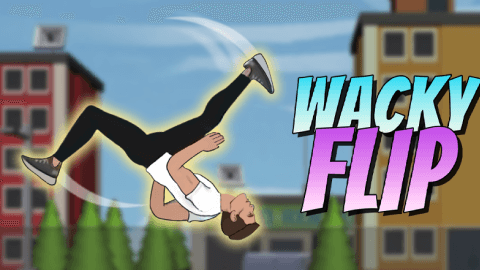 Casual Game - Wacky Flip